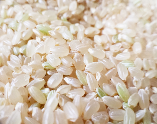 「酵素玄米」はじめました。